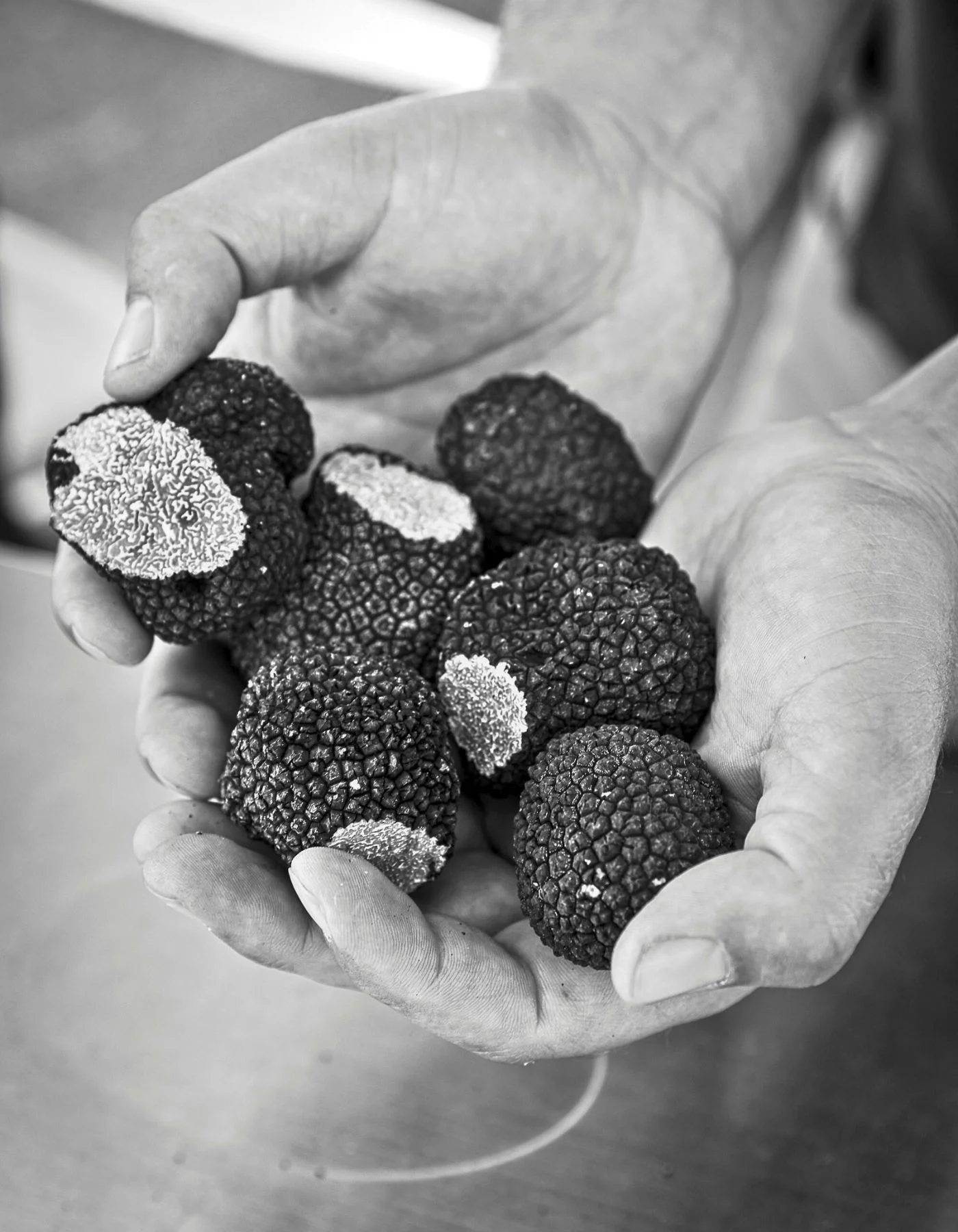 Truffes Domitia
